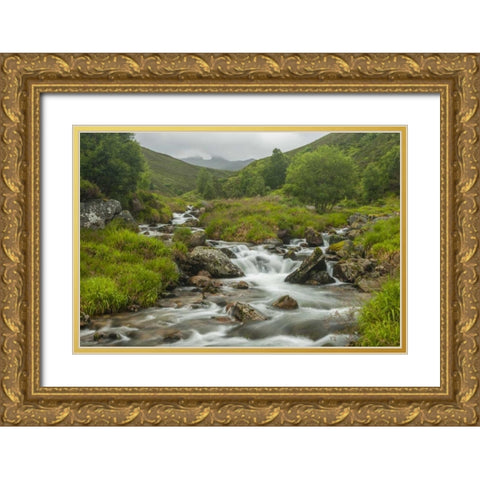 Scotland, Cairngorm NP Mountain stream cascade Gold Ornate Wood Framed Art Print with Double Matting by Illg, Cathy and Gordon