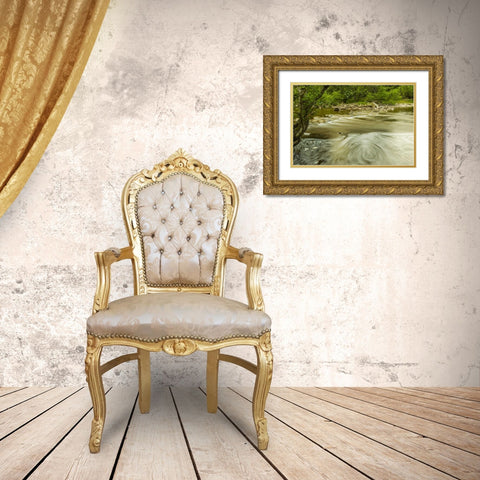 Scotland, Cairngorm NP Swirling water in stream Gold Ornate Wood Framed Art Print with Double Matting by Illg, Cathy and Gordon