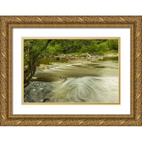 Scotland, Cairngorm NP Swirling water in stream Gold Ornate Wood Framed Art Print with Double Matting by Illg, Cathy and Gordon