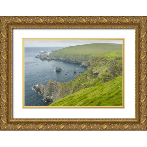 Scotland, Shetland Islands Island of Unst Gold Ornate Wood Framed Art Print with Double Matting by Illg, Cathy and Gordon
