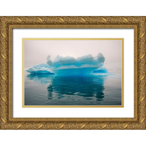 Blue iceberg in the fjord of Narsarsuaq-Greenland Gold Ornate Wood Framed Art Print with Double Matting by Su, Keren
