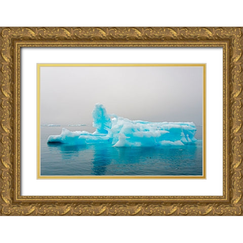 Blue iceberg in the fjord of Narsarsuaq-Greenland Gold Ornate Wood Framed Art Print with Double Matting by Su, Keren