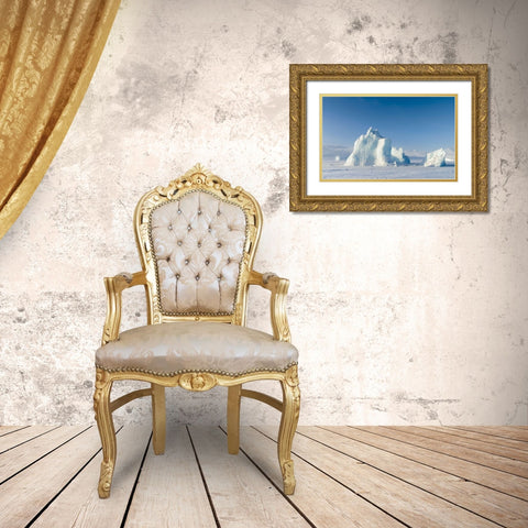 Icebergs frozen into the sea ice of the Uummannaq Fjord System during winter  Gold Ornate Wood Framed Art Print with Double Matting by Zwick, Martin