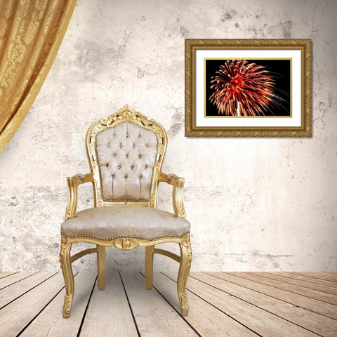 Independence Day fireworks-USA Gold Ornate Wood Framed Art Print with Double Matting by Engelbrecht, Jim
