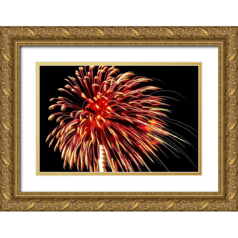 Independence Day fireworks-USA Gold Ornate Wood Framed Art Print with Double Matting by Engelbrecht, Jim