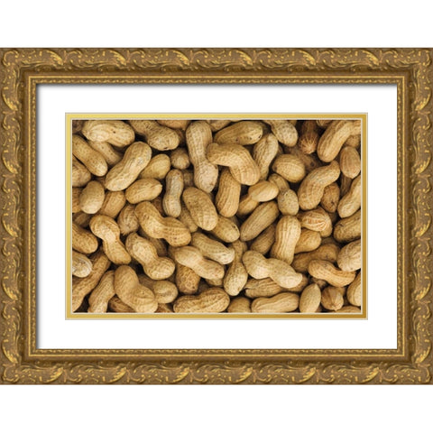 Close-up of unshelled peanuts Gold Ornate Wood Framed Art Print with Double Matting by Flaherty, Dennis