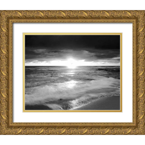 California, San Diego Sunset Cliffs beach Gold Ornate Wood Framed Art Print with Double Matting by Talbot Frank, Christopher
