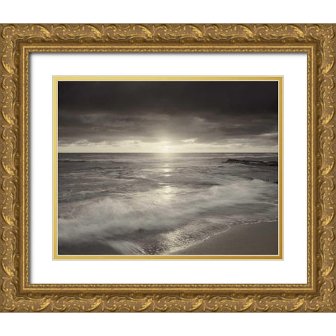 California, San Diego Sunset Cliffs beach Gold Ornate Wood Framed Art Print with Double Matting by Talbot Frank, Christopher