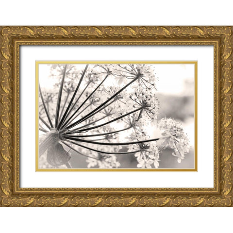 Alaska, Glacier Bay Cow parsnip in Bartlett Cove Gold Ornate Wood Framed Art Print with Double Matting by Paulson, Don