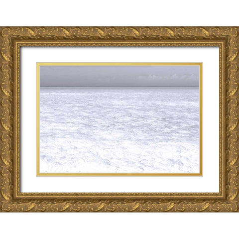 Bahamas, Exuma Island Seascape of Shroud Cay Gold Ornate Wood Framed Art Print with Double Matting by Paulson, Don