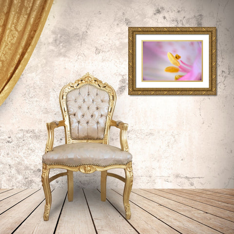 Pink lily flower Gold Ornate Wood Framed Art Print with Double Matting by Jones, Adam