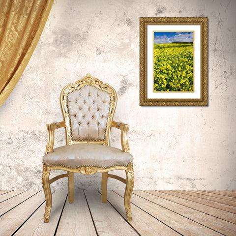 Field of Flowers Gold Ornate Wood Framed Art Print with Double Matting by Miller, Anna