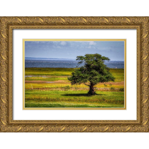 Lone Tree in Coastal Marshland Gold Ornate Wood Framed Art Print with Double Matting by Miller, Anna