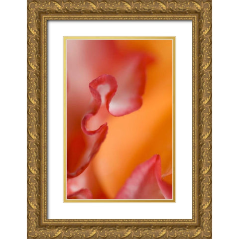 Flower petal edges Gold Ornate Wood Framed Art Print with Double Matting by Rotenberg, Nancy