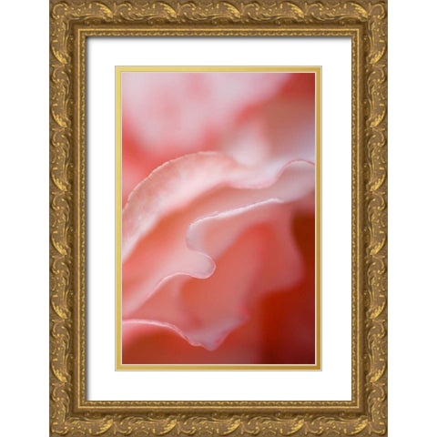 Flower petal edges Gold Ornate Wood Framed Art Print with Double Matting by Rotenberg, Nancy