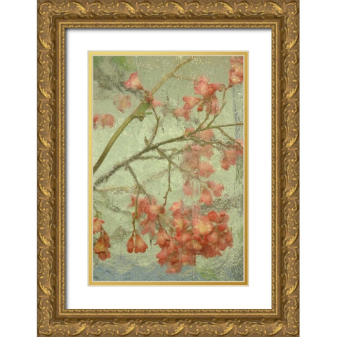 Pentstemon flower behind glass Gold Ornate Wood Framed Art Print with Double Matting by Rotenberg, Nancy