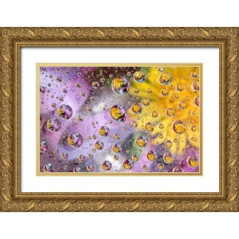 Bubbles abstract with flowers Gold Ornate Wood Framed Art Print with Double Matting by Rotenberg, Nancy