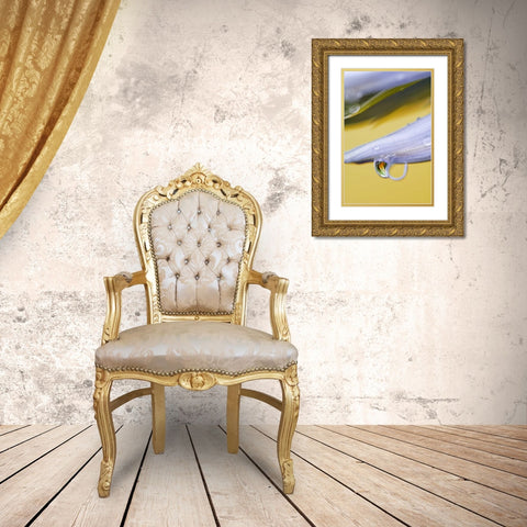 Flower petal with drop and reflection Gold Ornate Wood Framed Art Print with Double Matting by Rotenberg, Nancy
