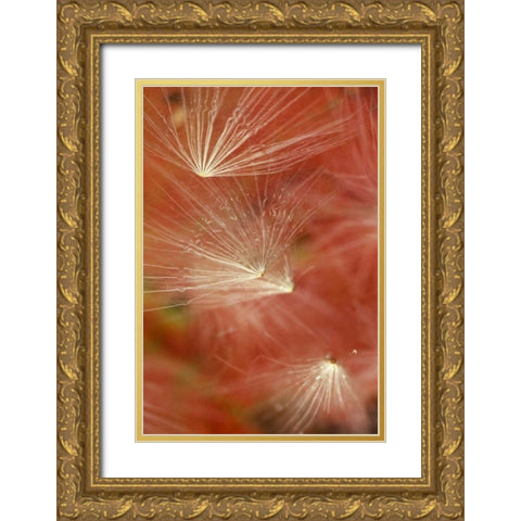 Seedheads Flying in Fall Gold Ornate Wood Framed Art Print with Double Matting by Rotenberg, Nancy
