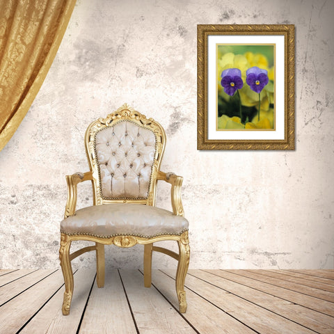 Two Pansy Faces in Garden Gold Ornate Wood Framed Art Print with Double Matting by Rotenberg, Nancy