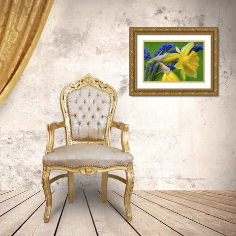 Detail of daffodil and hyacinth flowers Gold Ornate Wood Framed Art Print with Double Matting by Paulson, Don