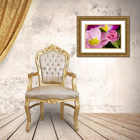 Detail of primrose blossoms Gold Ornate Wood Framed Art Print with Double Matting by Paulson, Don
