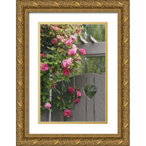 Garden gate with roses growing over it Gold Ornate Wood Framed Art Print with Double Matting by Paulson, Don