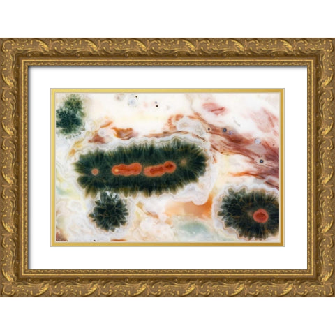 Ocean jasper stone found in Madagascar Gold Ornate Wood Framed Art Print with Double Matting by Kirkland, Dennis