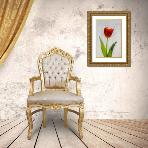 Tulip in ice Gold Ornate Wood Framed Art Print with Double Matting by Jaynes Gallery
