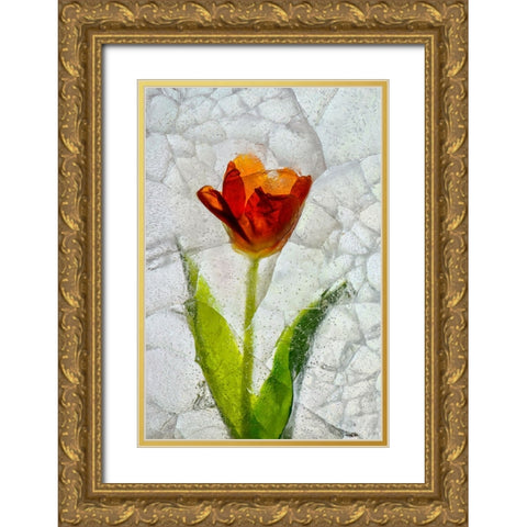 Tulip in ice Gold Ornate Wood Framed Art Print with Double Matting by Jaynes Gallery