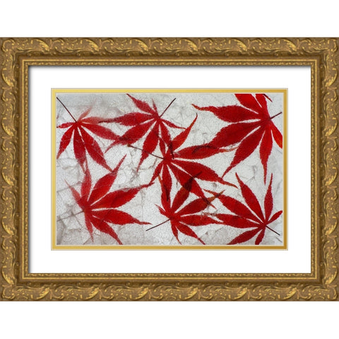 Fall maple leaves in ice Gold Ornate Wood Framed Art Print with Double Matting by Jaynes Gallery