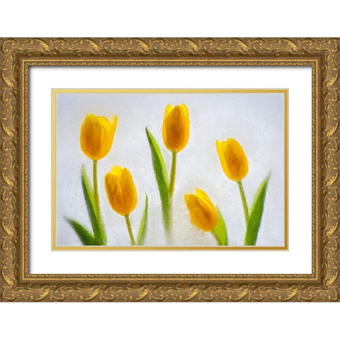 Tulips in ice Gold Ornate Wood Framed Art Print with Double Matting by Jaynes Gallery