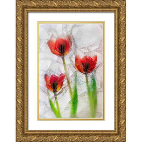 Tulips in ice Gold Ornate Wood Framed Art Print with Double Matting by Jaynes Gallery