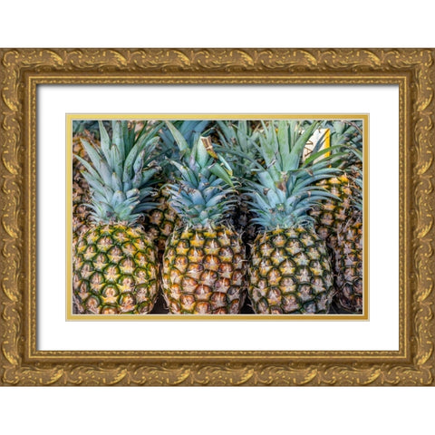Sugarloaf pineapple Gold Ornate Wood Framed Art Print with Double Matting by Engelbrecht, Jim