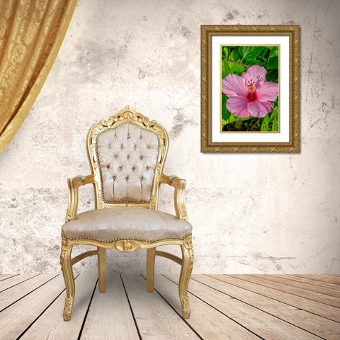 Hibiscus Gold Ornate Wood Framed Art Print with Double Matting by Engelbrecht, Jim