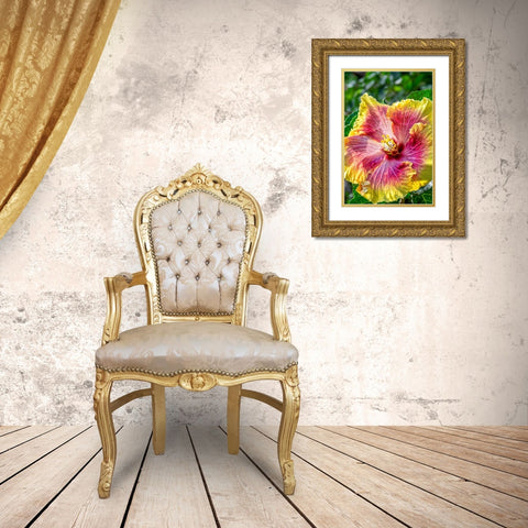 Hibiscus flower Gold Ornate Wood Framed Art Print with Double Matting by Engelbrecht, Jim