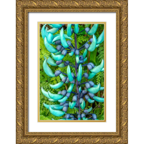 Jade vine Gold Ornate Wood Framed Art Print with Double Matting by Engelbrecht, Jim
