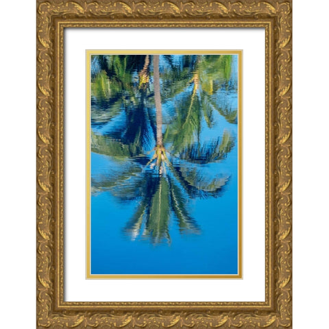 Reflection of palm trees on water Gold Ornate Wood Framed Art Print with Double Matting by Engelbrecht, Jim