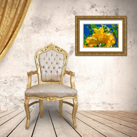 Yellow Angels Trumpet Gold Ornate Wood Framed Art Print with Double Matting by Engelbrecht, Jim