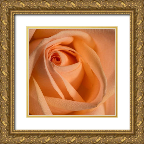 Close-up image of a rose Gold Ornate Wood Framed Art Print with Double Matting by Sullivan, Karen Ann
