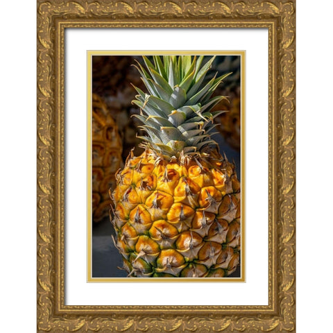 Sugarloaf pineapple Gold Ornate Wood Framed Art Print with Double Matting by Engelbrecht, Lisa S.