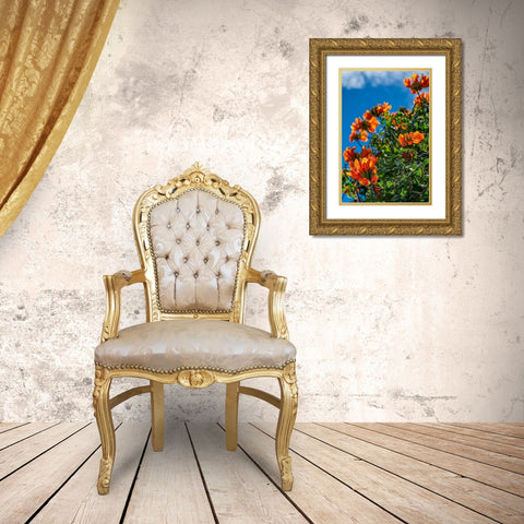 African tulip tree Gold Ornate Wood Framed Art Print with Double Matting by Engelbrecht, Lisa S.