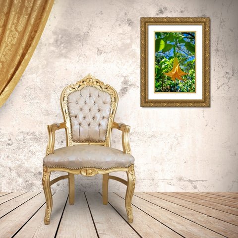 Angels Trumpet flower Gold Ornate Wood Framed Art Print with Double Matting by Engelbrecht, Lisa S.