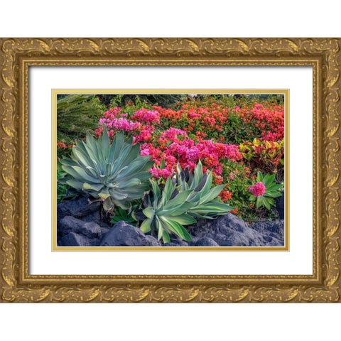 Bougainvillea in tropical garden Gold Ornate Wood Framed Art Print with Double Matting by Engelbrecht, Lisa S.