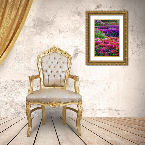 Bougainvillea in tropical garden Gold Ornate Wood Framed Art Print with Double Matting by Engelbrecht, Lisa S.