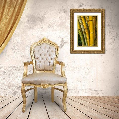 Detail of golden bamboo Gold Ornate Wood Framed Art Print with Double Matting by Engelbrecht, Lisa S.
