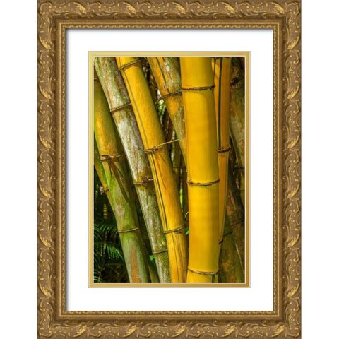 Detail of golden bamboo Gold Ornate Wood Framed Art Print with Double Matting by Engelbrecht, Lisa S.