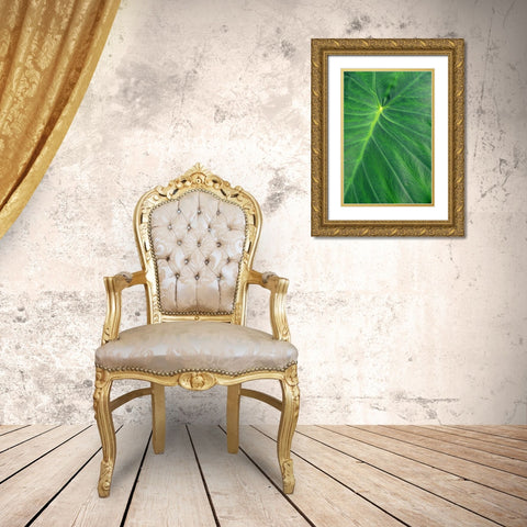 Detail of large tropical leaf Gold Ornate Wood Framed Art Print with Double Matting by Engelbrecht, Lisa S.