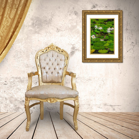 Frogs among Woods White Knight lilies Gold Ornate Wood Framed Art Print with Double Matting by Engelbrecht, Lisa S.