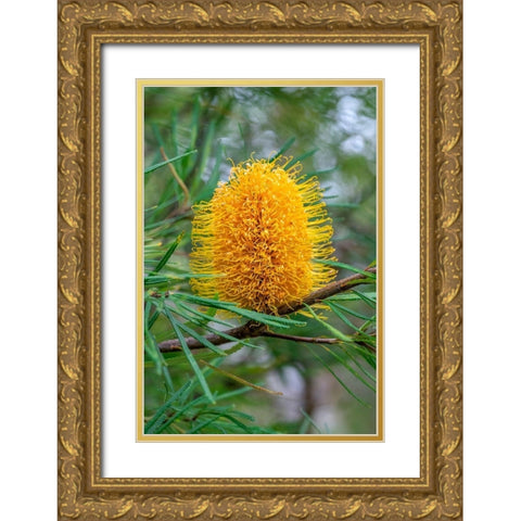 Golden Candlestick Gold Ornate Wood Framed Art Print with Double Matting by Engelbrecht, Lisa S.